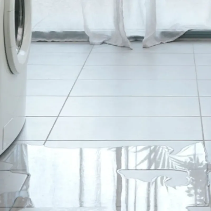 Appliance Leak Cleanup in Harrison, WI