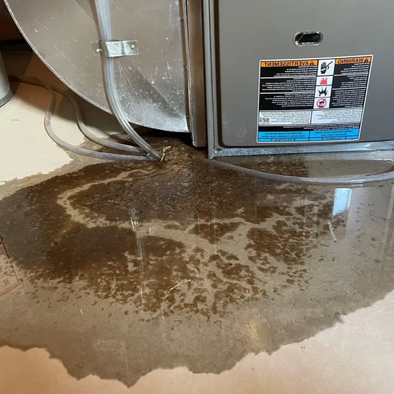 Pipe Burst and Leak Restoration in Harrison, WI